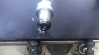 Свечи в масле. Какая причина?🤔