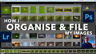 How I Organise and File My Photographs | Nature Photography