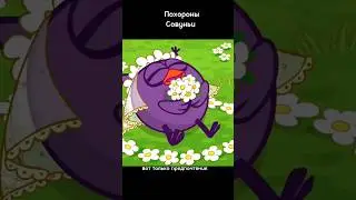 Похороны Совуньи