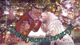 Клип 