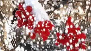 Любимке моей