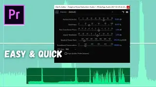 How To Remove Background Noise In Premiere Pro | How To Edit Audio In Premiere Pro