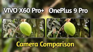 VIVO X60 Pro+ VS OnePlus 9 Pro Camera Comparison, VIVO X60 Pro Camera Review, OnePlus 9 Pro Review