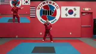 TaeGeuk Yuk Jang Step by Step