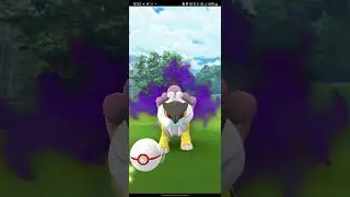 Shadow Raikou Emerges: Conquer the Darkness in Pokémon GO! #pokemongo  #legendaryraids