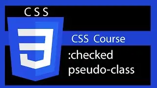 CSS Style form elements ( :checked pseudo-class )