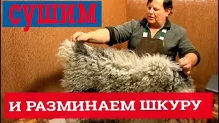 Обработка шкуры овцы. Выделка овчины