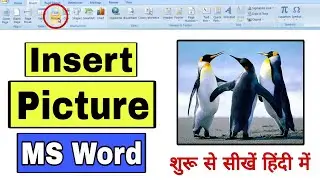 How to Insert and Style Picture in MS Word | Anjali Bhardwaj|