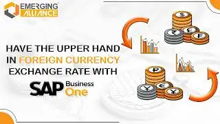 Have the upper hand in foreign currency exchange rate with SAP B1 - Emerging Alliance