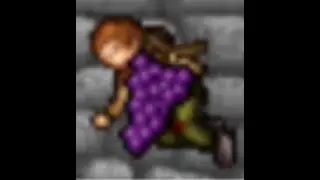 Grape Legion PK 02