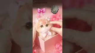 CHOOSE AN EMOJI 🎀 🦪  SQUISHYCHUU.COM