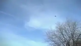 نسر يخطف طفل