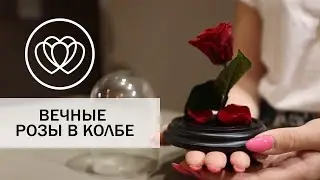 Вечная роза в колбе