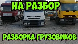 Польша Поступили под разбор Iveco EuroCargo MAN TGA Renault Magnum Iveco Stralis Разборка грузовиков
