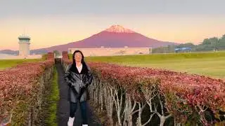 When in Mt. Fuji 2023