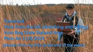 Tamarack.View from the hill - sketching and hiking - Volo Bog State Natural Area  Plein Air 11/6/202