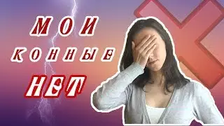 МОИ КОННЫЕ НЕТ