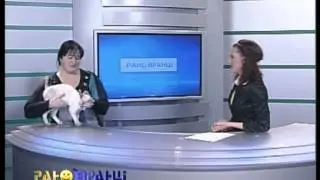 Руслана Свинарчук - гість 