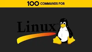 100 Linux Commands You NEED To Know (No BS, No Fluff)