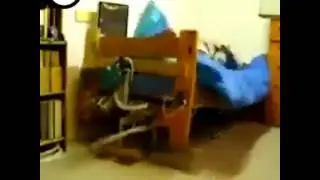 Necesito Una Cama Así :v