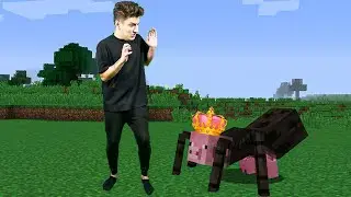 Minecraft'taki en çirkin yaratık