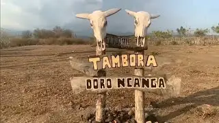 beautiful of tambora