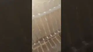Вот почему наша власть до такого не может дойти? Ведь детям много не нужно...