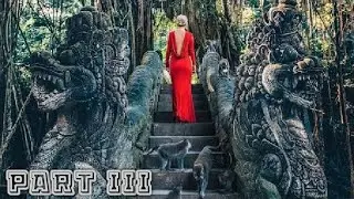 Dengarkan Suara Alam dan Seram at SANGEH MONKEY FORES BALI