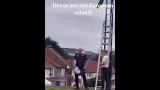 THESE ARE NOT THE VALES OF EUROPE