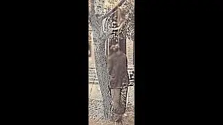 убили негра (9((99(