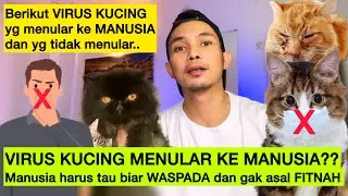 APA VIRUS KUCING MENULAR KE MANUSIA?? Bahas virus kucing yg menular ke manusia dan tidak yg tidak