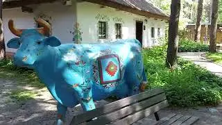 ...ИЗ СТОЛИЦЫ В  