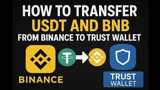 How to Withdraw from Trust Wallet (To Bank Account or Exchange) best way