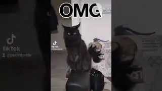 Шок!