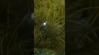Can You See It?? 🤔 