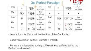 Hebrew Qal Perfect Verbs