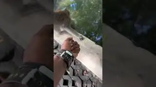 Kunyuk lu ‼️