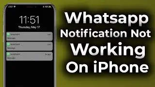 Whatsapp Notification Not Working On iPhone? FIXED!! Apple info