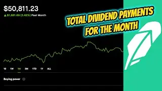 How Much I Made In Passive Dividend Income & Options / $50,000 Portfolio