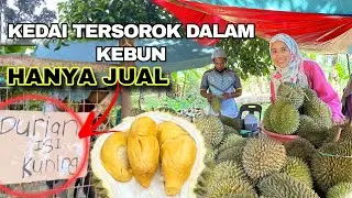 LUBUK DURIAN BATU KURAU YG RAMAI TAKTAHU | TAUKE NI JUAL DURIAN ISI KUNING SAHAJAA ❗️