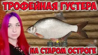 Трофейная густера  Старый Острог  Russian Fishing 4 Русская рыбалка 4  RF4 РР4