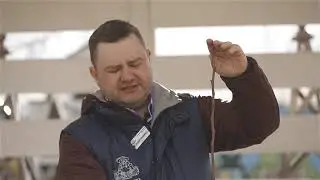 Обрезка молодых саженцев плодовых культур