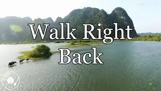 Walk Right Back w/ Lyrics - The Everly Brothers Version