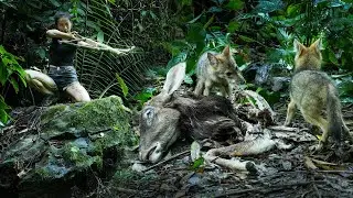 Hiding in the Bush, Hunting Wild Wolves/ Bushcraft & Survival P.9