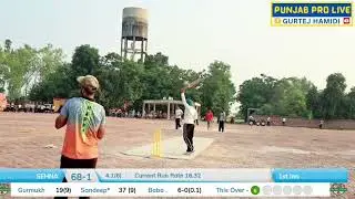SANDEEP SEHNA, 17 BALLA 71 RUN, ਲਗਾਤਰ 9 SIXER, (GHOLIA KHURD TEAM NU), BIHLA CUP 2024