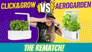 Hydroponic Rematch: Click & Grow 3 vs. AeroGarden Sprout – Who Reigns Supreme?
