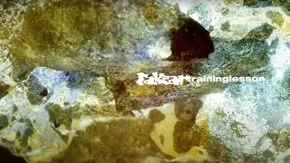 Fakear - Training Lesson (Official Visualizer)