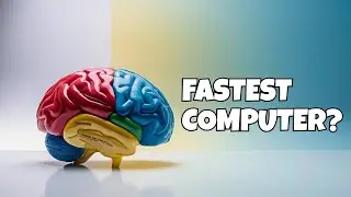 How Your Brain Actually Processes Information (Explained Simply)