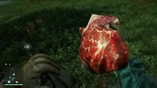 FAR CRY 4 ЛЮТАЯ ЖЕСТЬ ЧАСТЬ 1