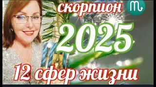 СКОРПИОН ♏ 12 СФЕР ЖИЗНИ  2025 ГОДОВОЙ ТАРОПРОГНОЗ  ОТ ЯНИНАТАРО☀️СОЛНЦЕ  